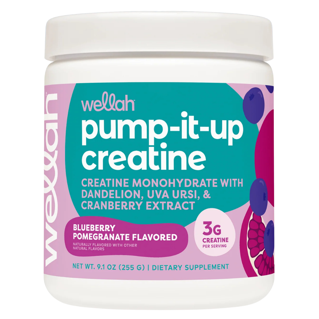 Creatina Monohidratada Wellah Importada